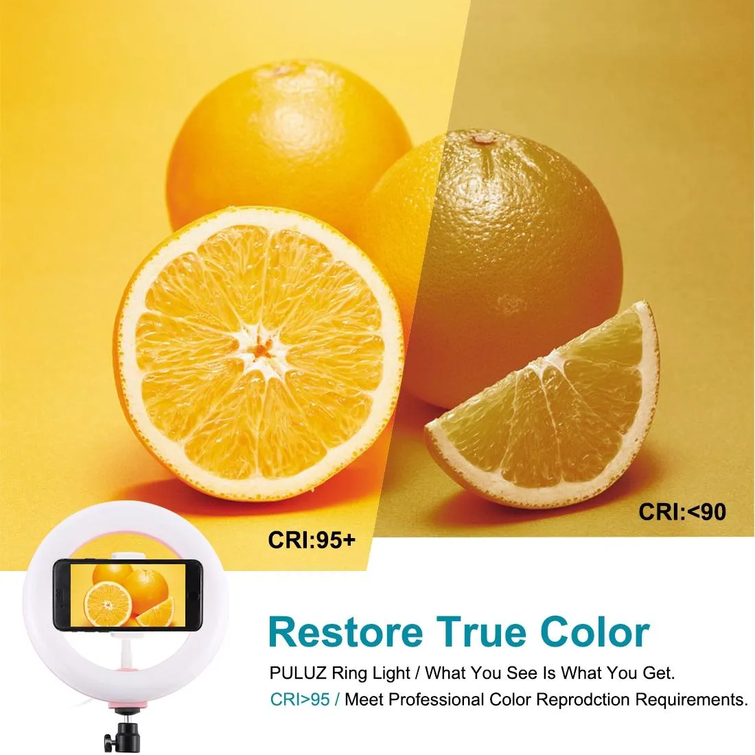 20cm USB Dual Colour LED Ring Light with Phone Clamp | Pink