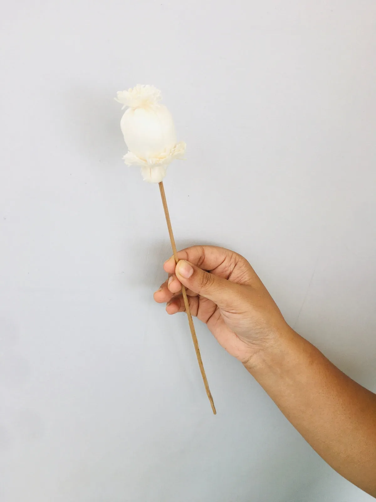 Buds Sola Flower | 5pcs