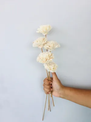 Carnation Sola Flower | 5pcs