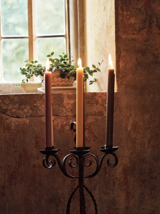 Dining Candle Pair, Honey