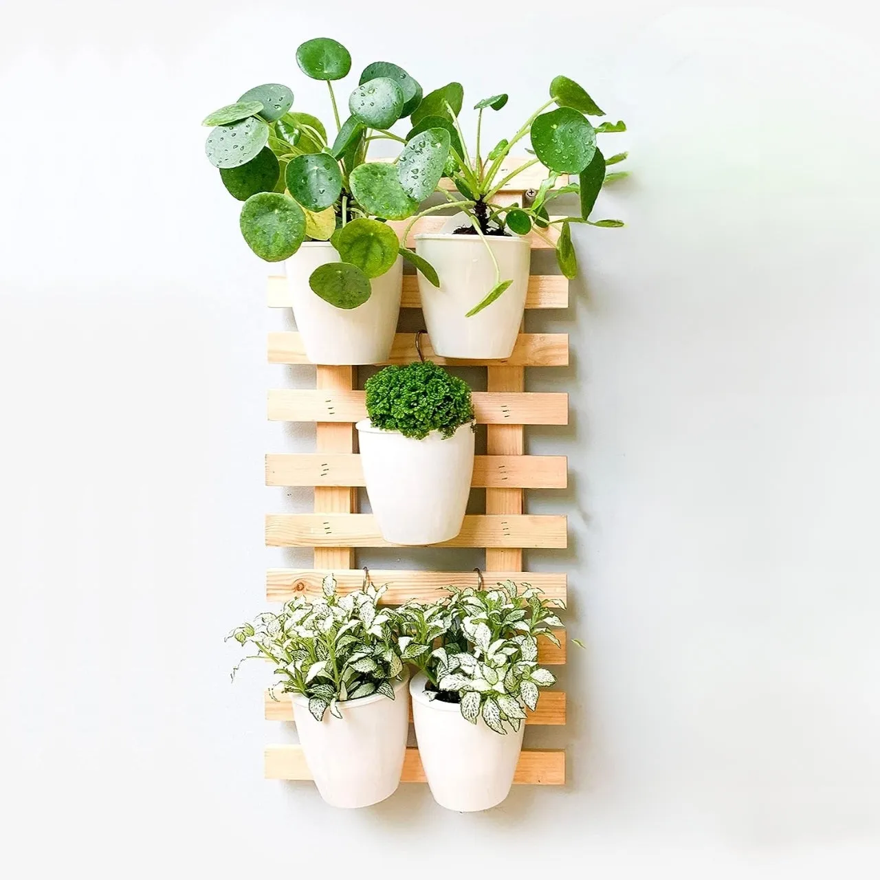Ecofynd Wooden Hanging Planter Wall Frame
