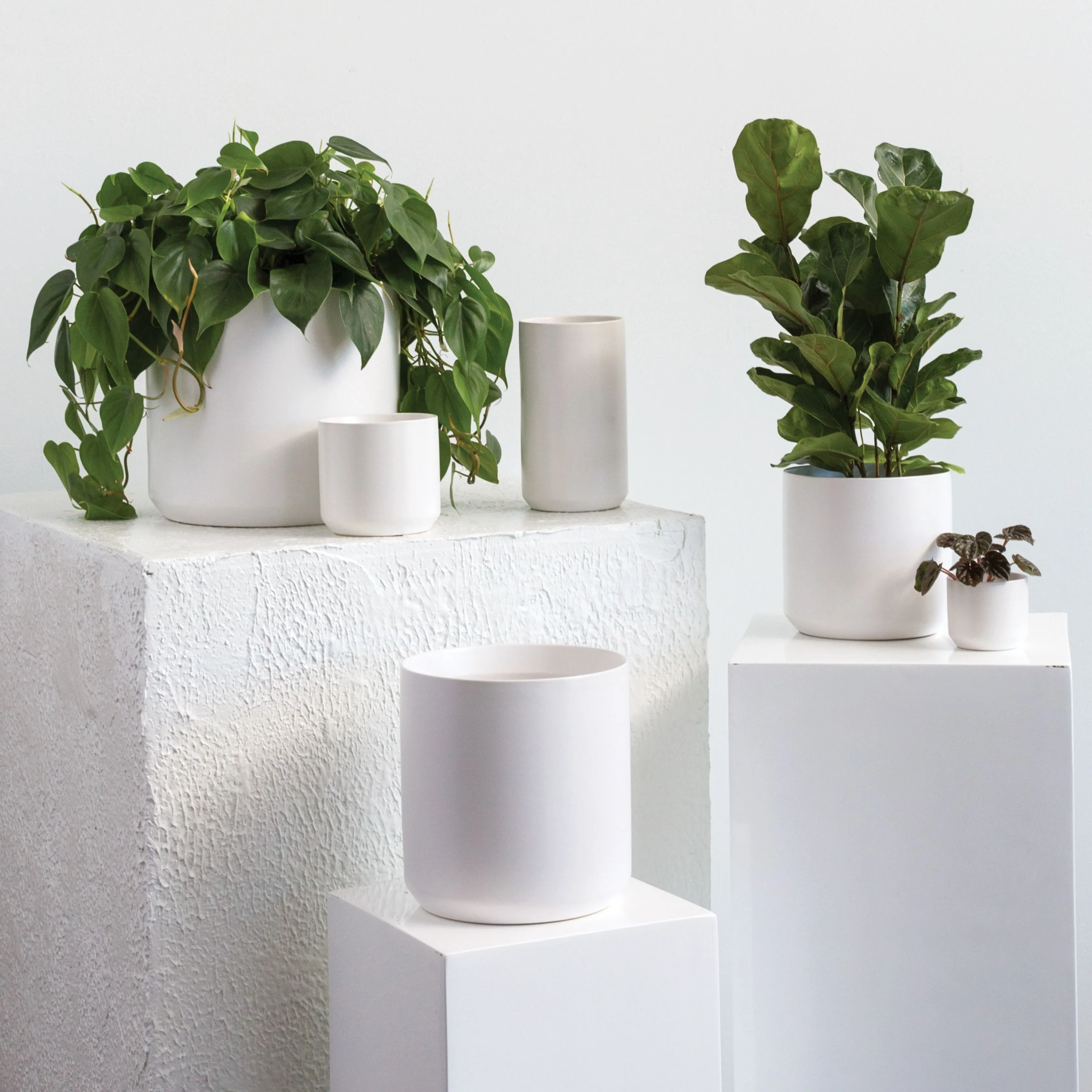 Kendall Pot | White (Small)