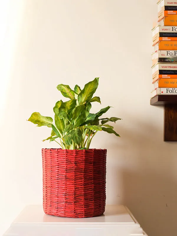 Paper Weaved Planter Red
