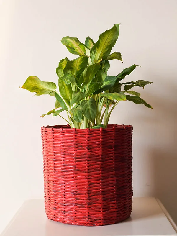 Paper Weaved Planter Red