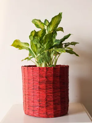 Paper Weaved Planter Red