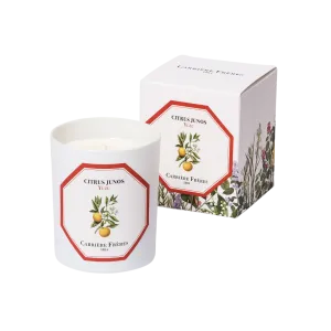 Scented Candle in Yuzu